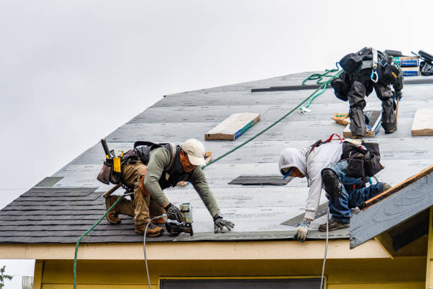 Professional Roofing technician working in Woodville, WV